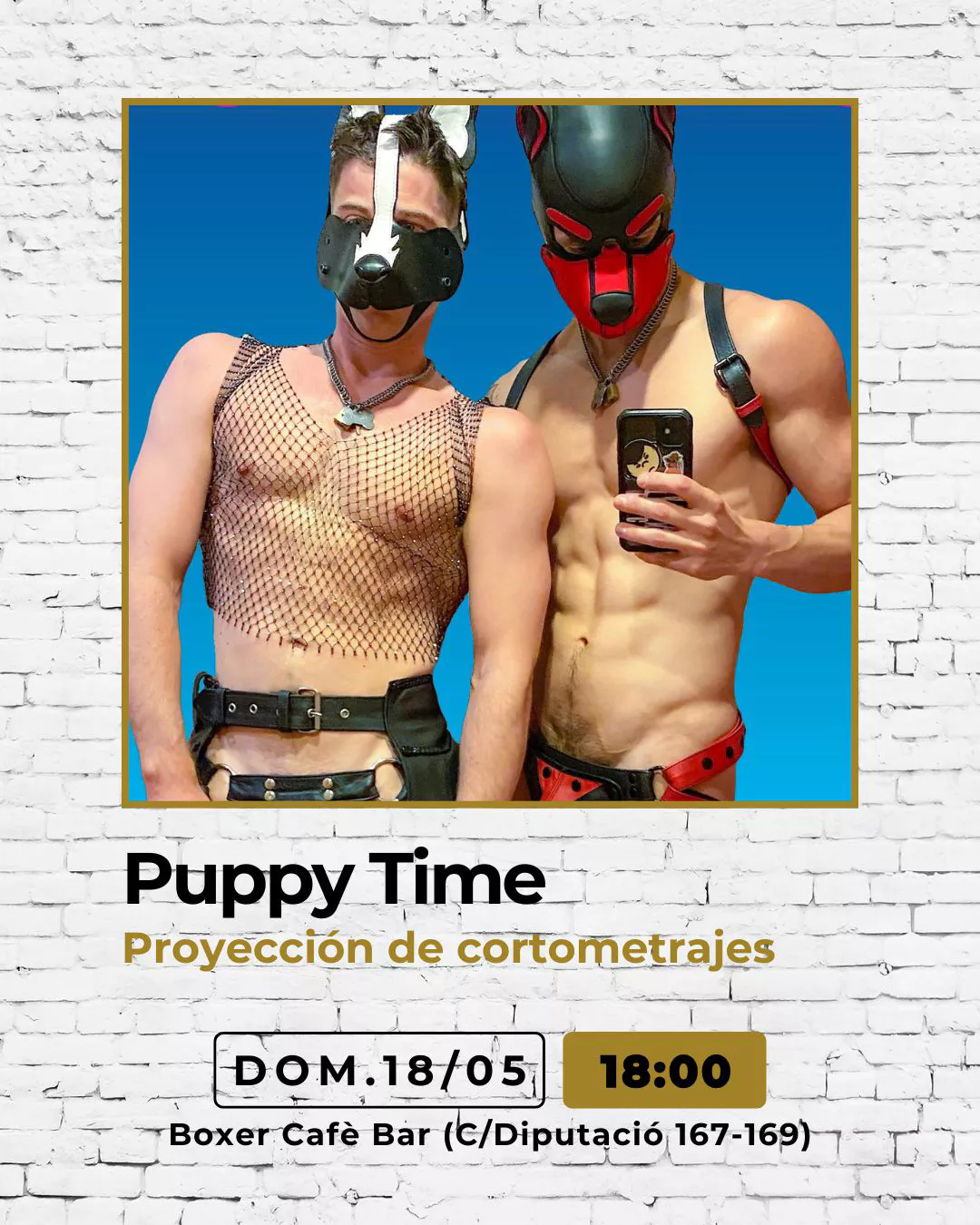Puppy Time